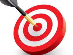 OBJECTIVES AND STRATEGIC DEVELOPMENT