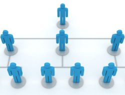 IPMAFA Boards of Management